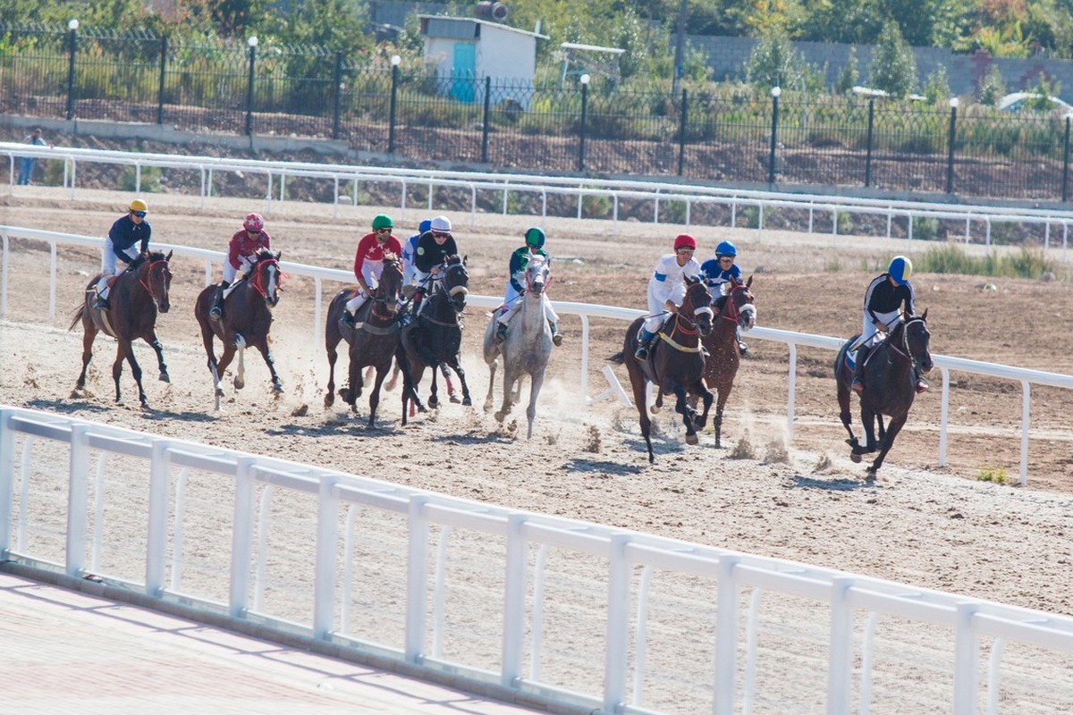 Flat Racing